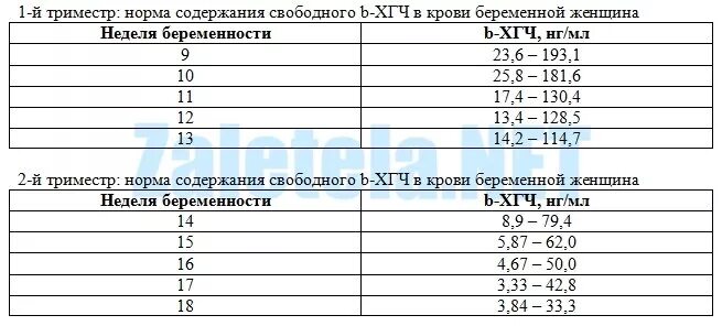 Анализы на 12 неделе беременности. Нормы бета ХГЧ по неделям беременности. Нормы ХГЧ В НГ/мл по неделям беременности. Свободная b субъединица ХГЧ нормы. Свободная бета-субъединица ХГЧ при беременности.