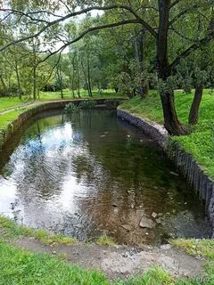 Экологический парк