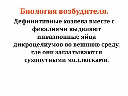 Дефинитивный это