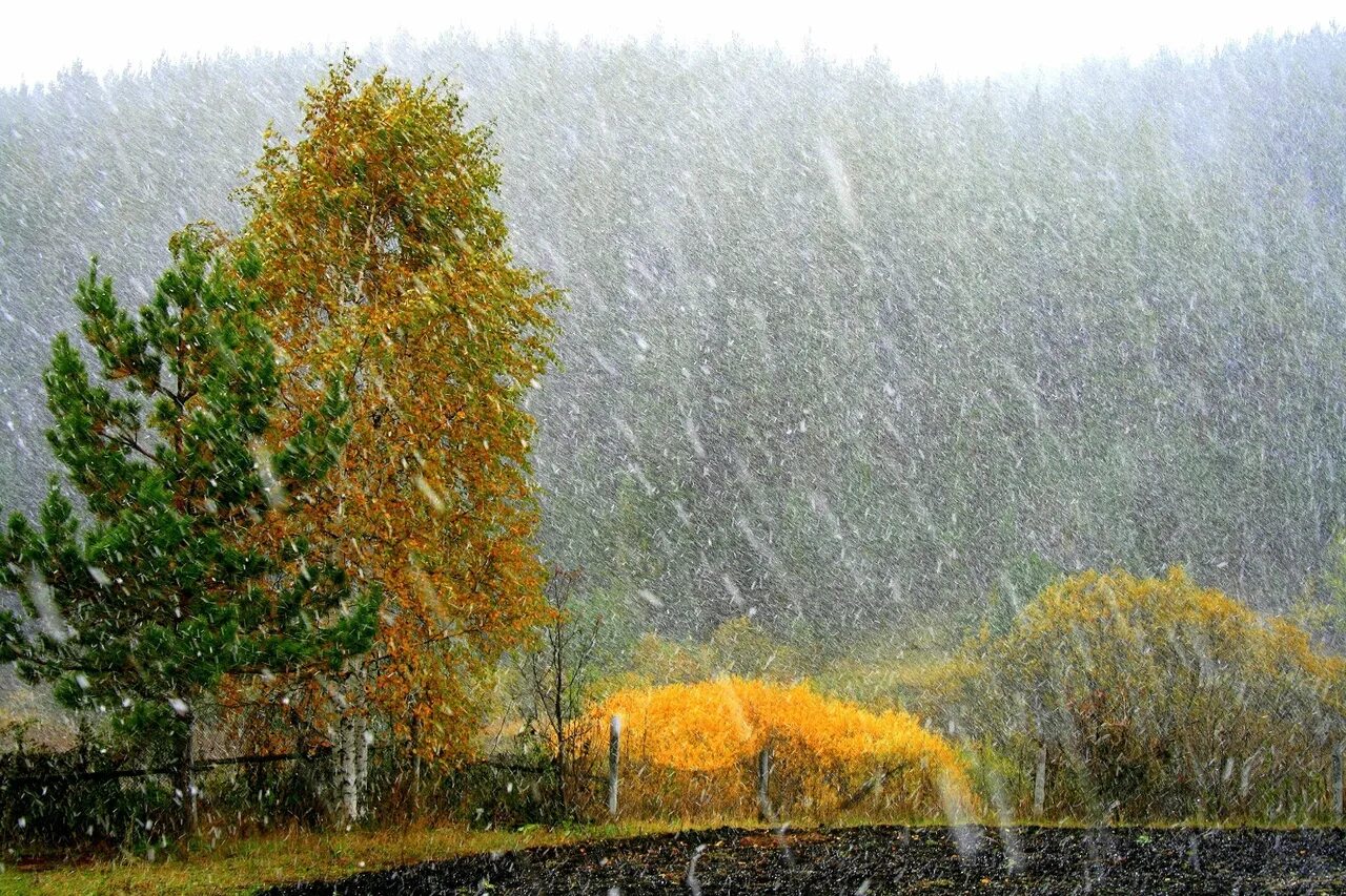 Ветер воет за окном. Дождь осенью. Осень дождь. Осенний ливень. Осень ветер.