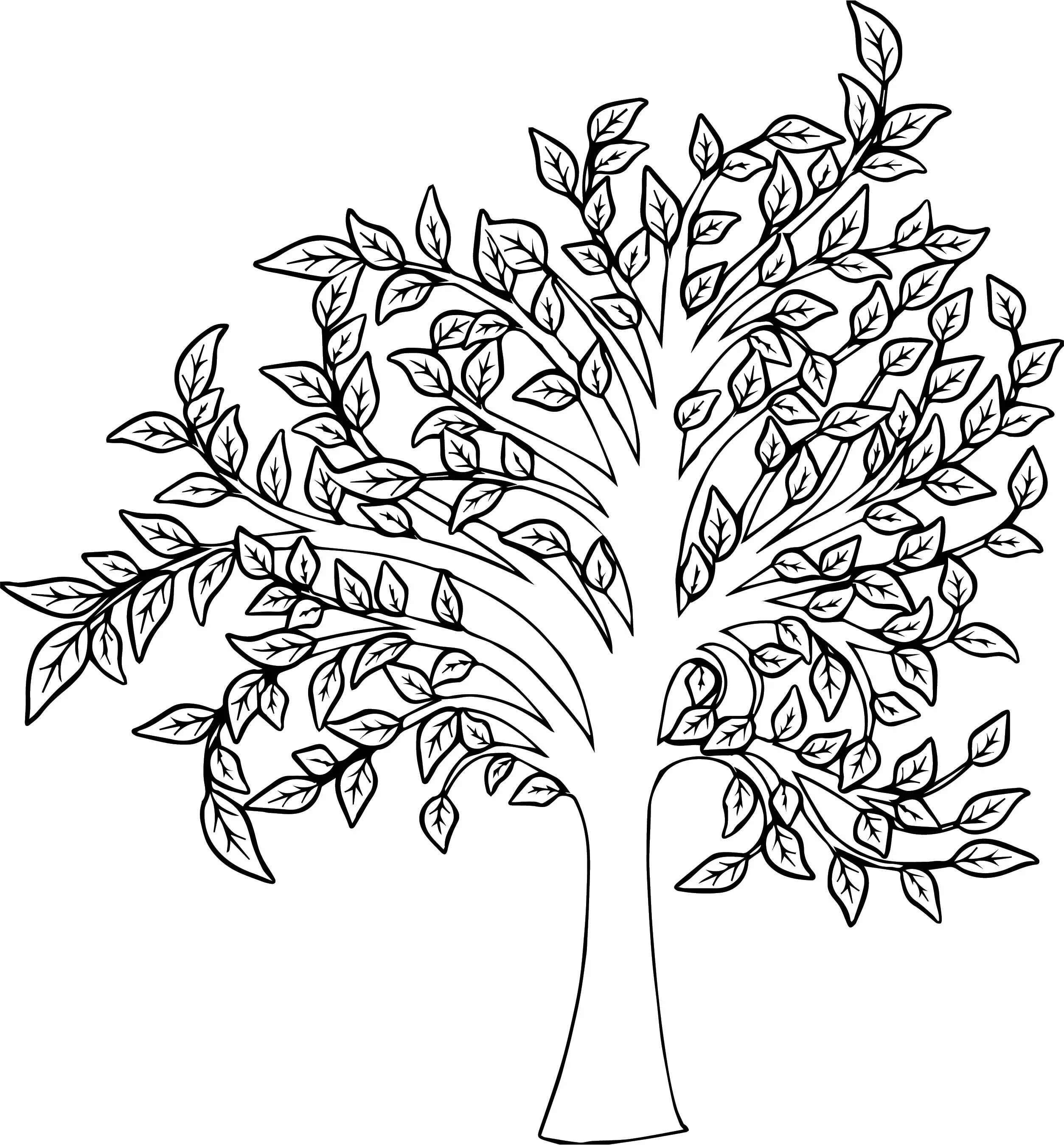 Page tree