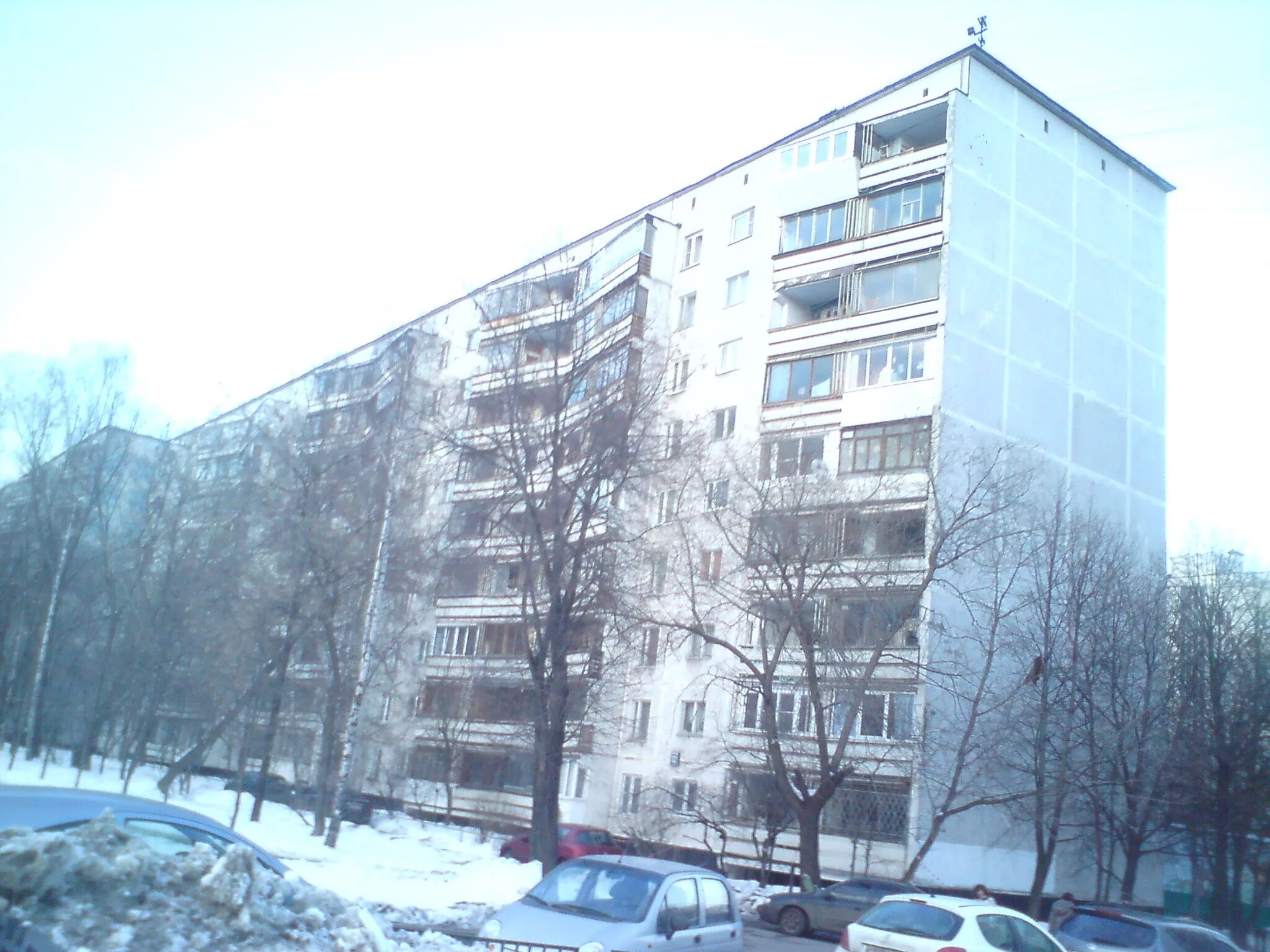 Пр шокальского