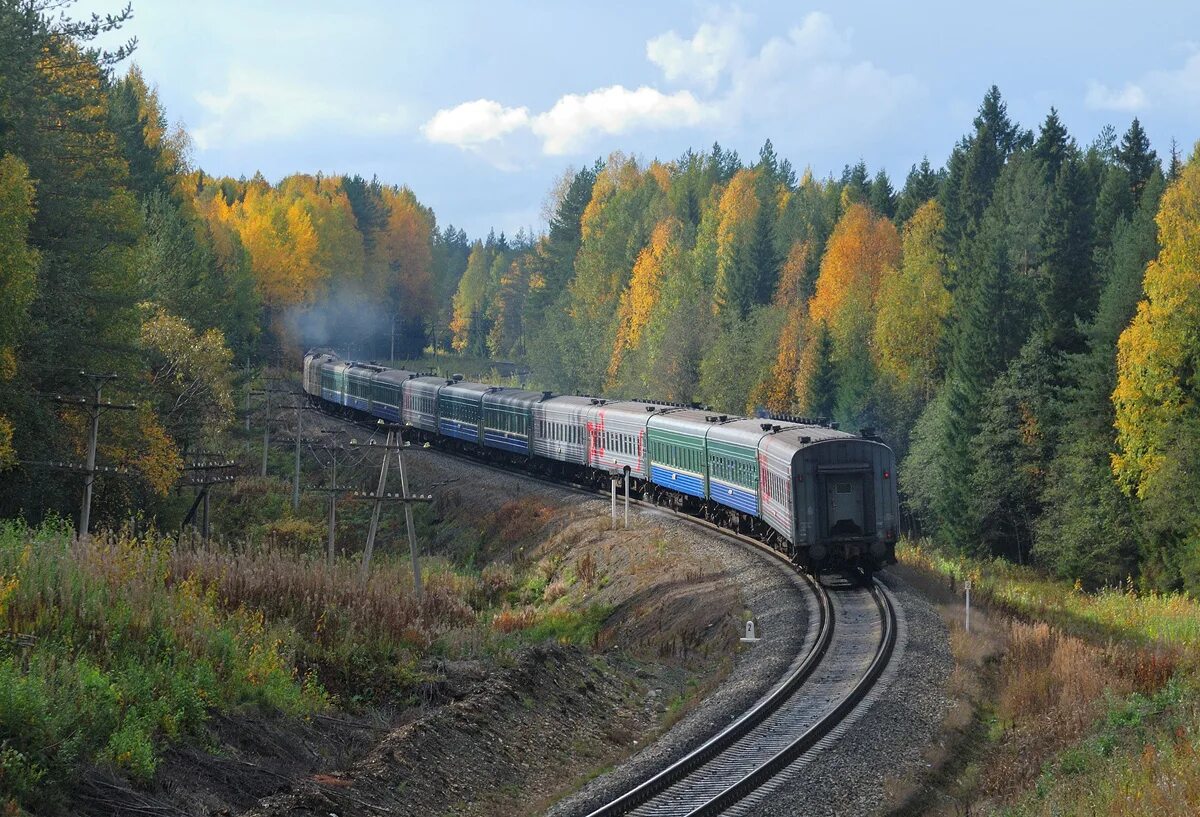 Железная дорога 5 россия. Железная дорога в лесу. Поезда России. Поезд в лесу. Лесная железная дорога.