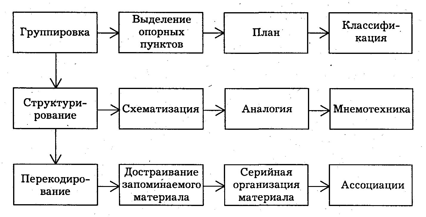 Серийная организация движений