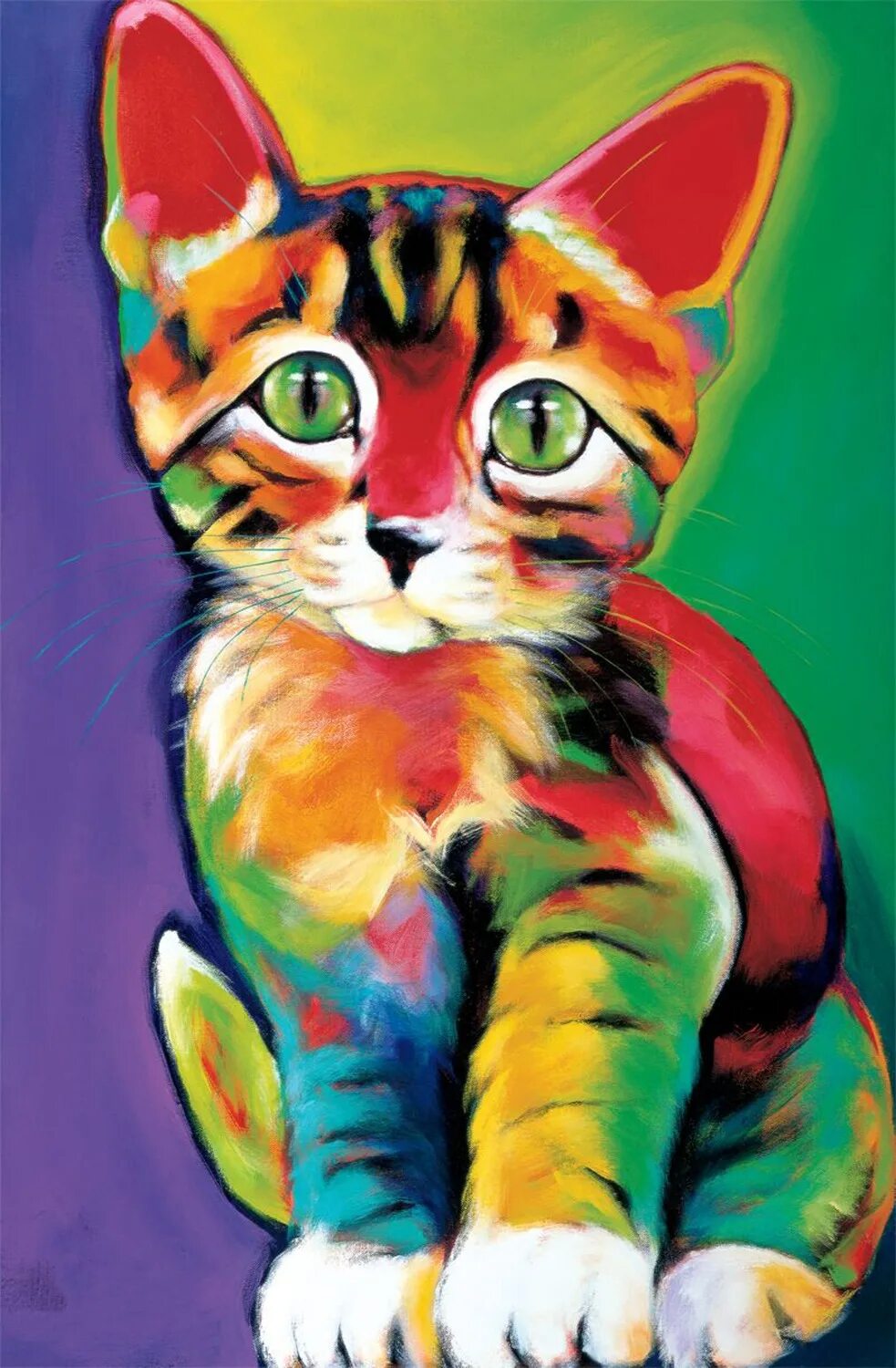 Цветные коты. Разноцветный кот. Яркие цветные кошки. Радужный кот.