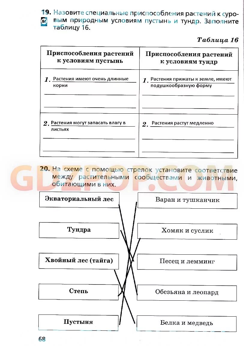 География рабочая тетрадь дронова. География 6 класс рабочая тетрадь дронов. Гдз рабочая тетрадь по географии 6 класс дронов Савельева. Установите соответствие география 6 класс. При помощи стрелок установите соответствие 6 класс география.