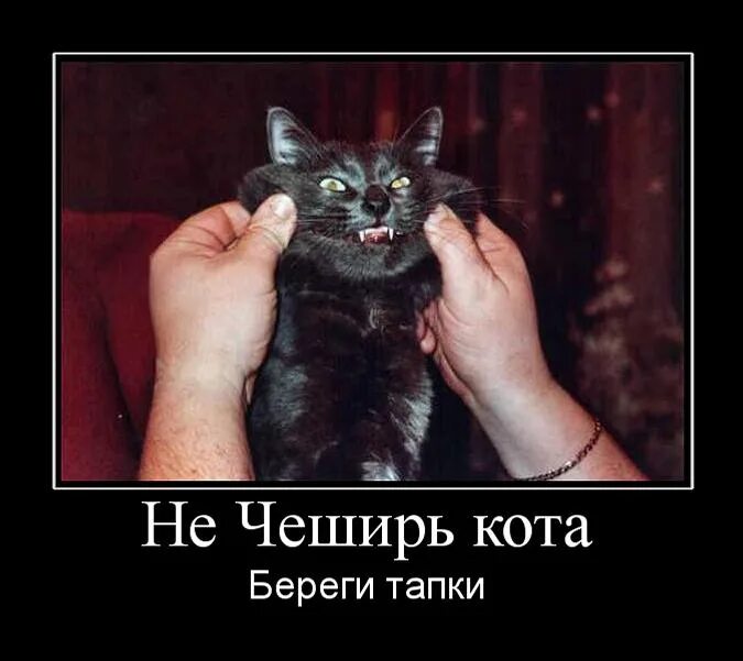 Улыбайтесь могло быть хуже