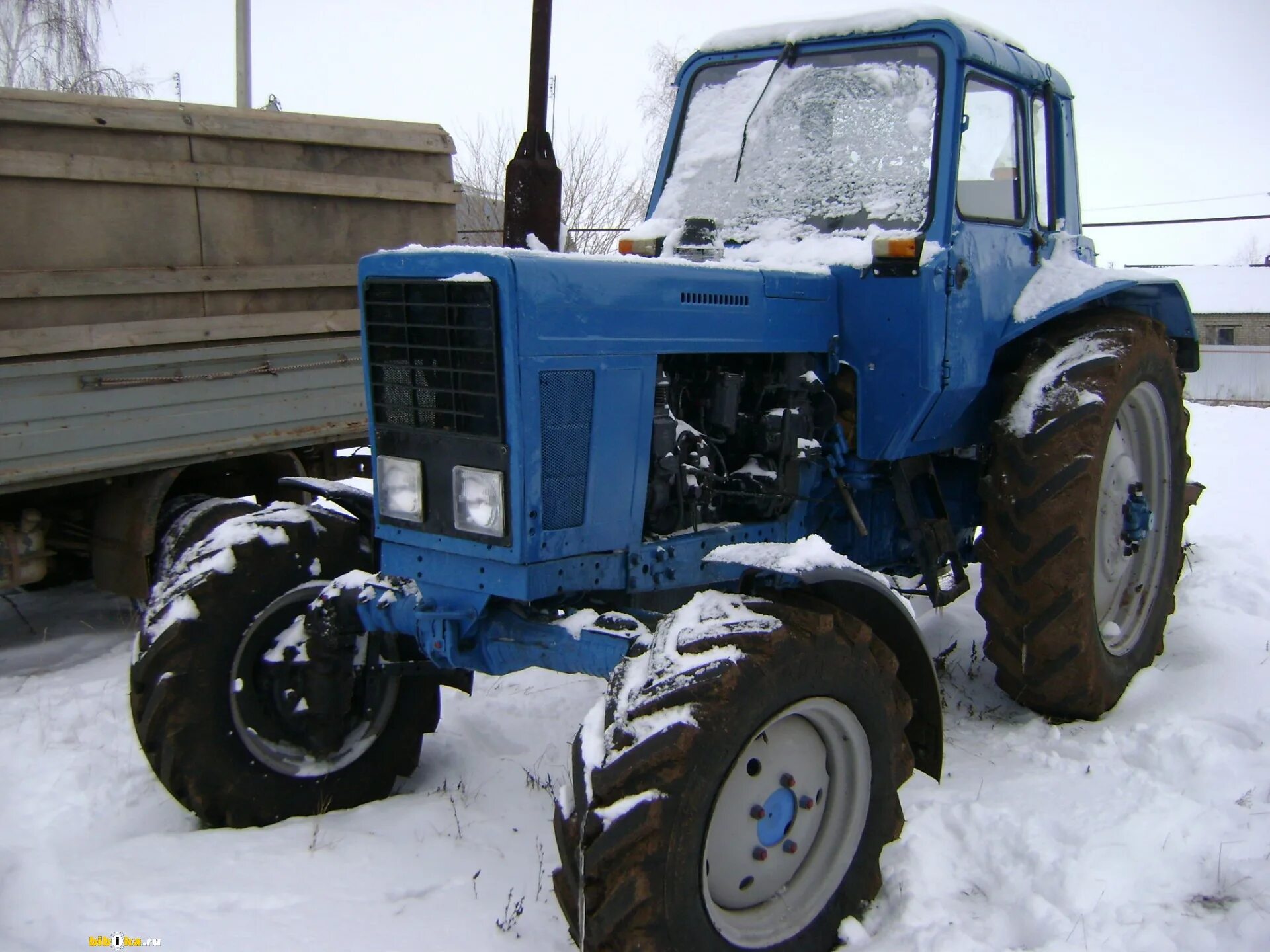 Купить трактор в амурской области. Трактор МТЗ МТЗ 82. МТЗ 82 1982. Трактор Беларус МТЗ 82. Трактора МТЗ 82 1989.