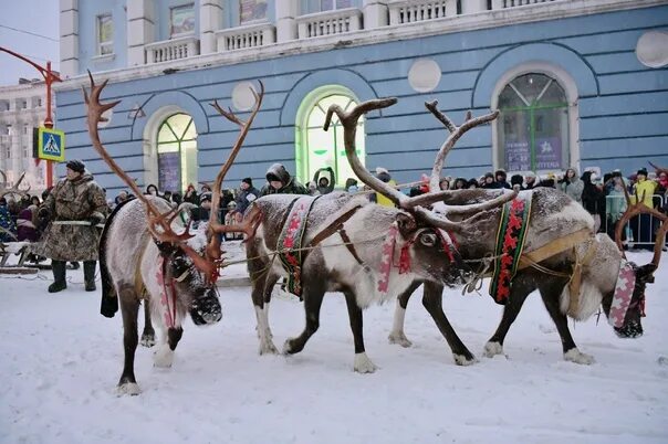 Аргиш что это такое простыми. Большой аргиш фото.