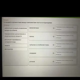 Компонент лист