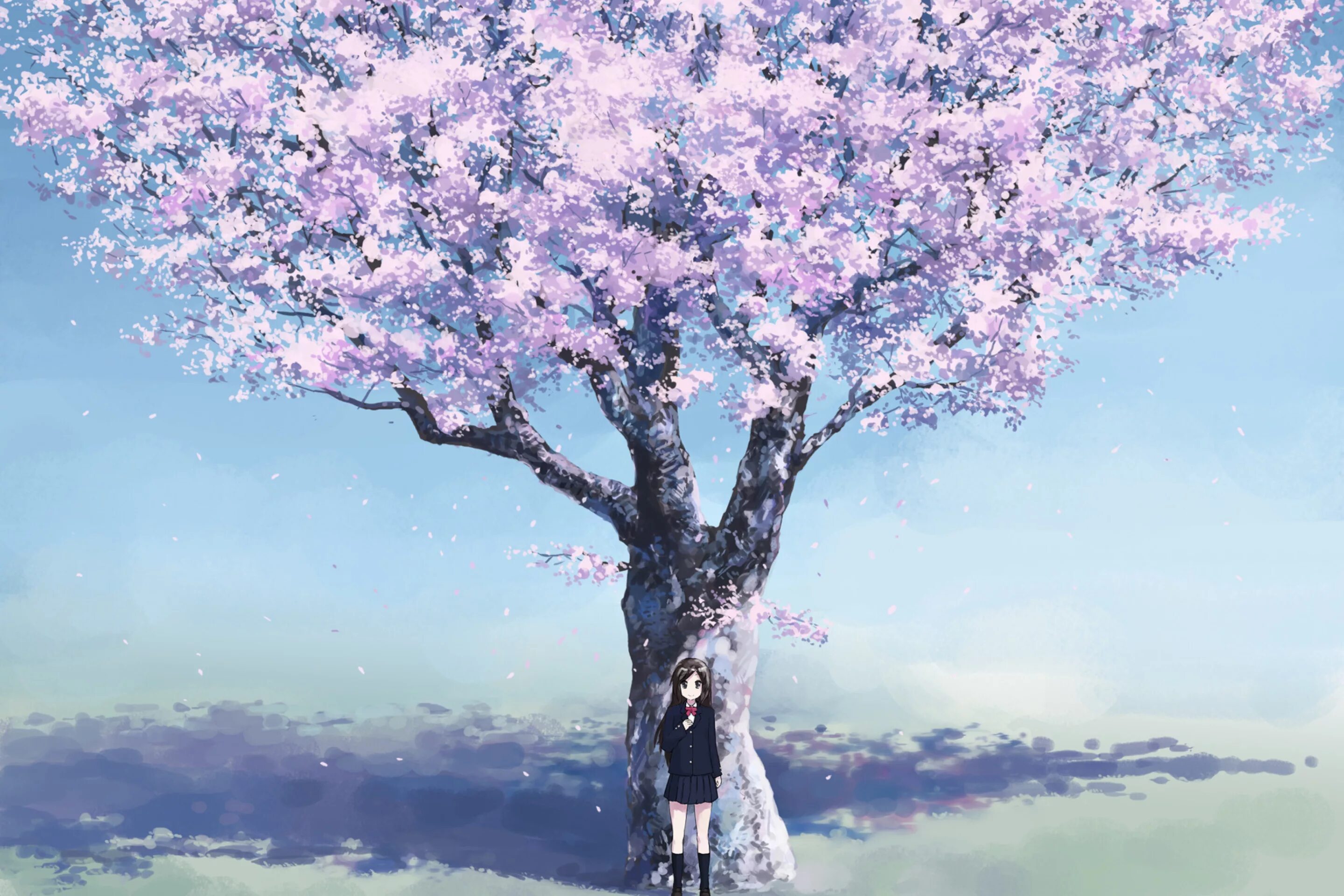 Автор сакуры. Цветущие деревья.