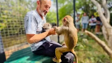 Люська и компания тайган дзен