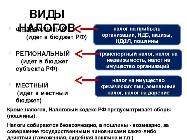 Транспортный налог Обществознание. Налоги Обществознание 11 класс. Виды налогов Обществознание 11 класс. Налоги Обществознание федеральные региональные местные. Налоги кроме налога на прибыль