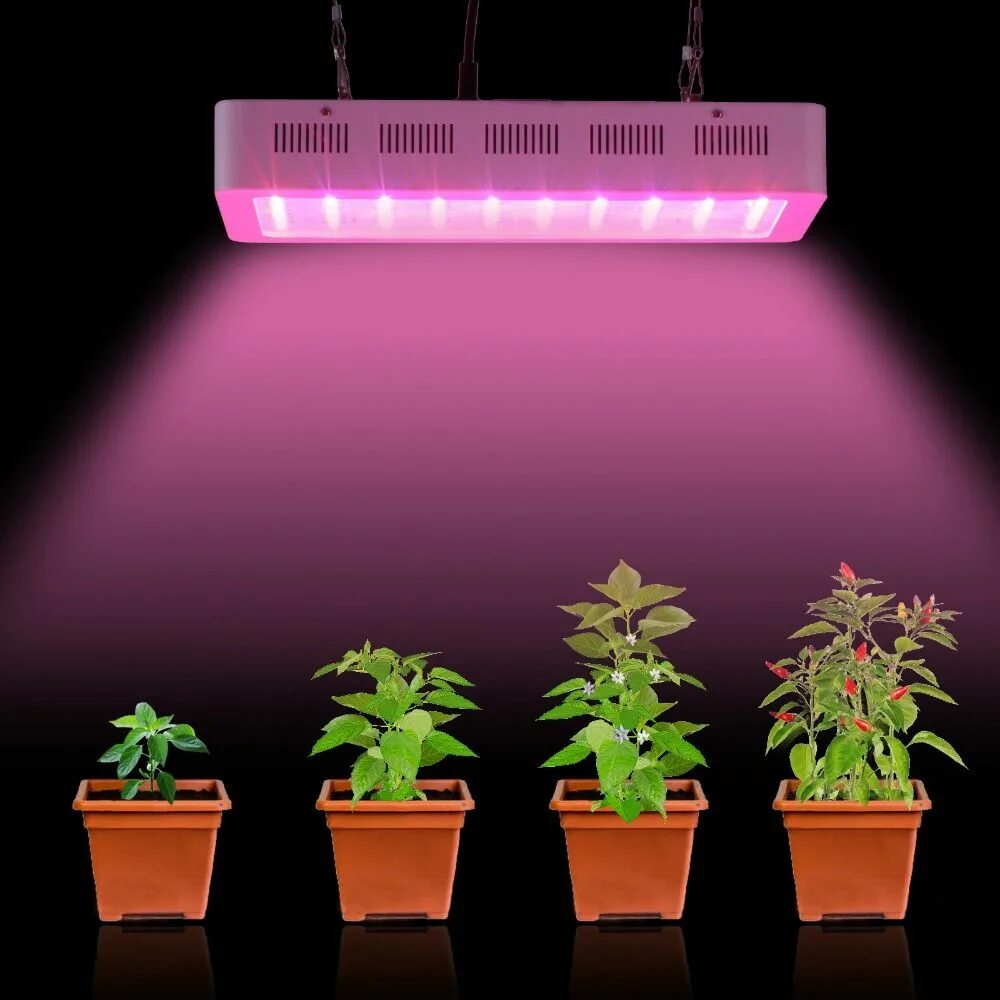 Фитолампа для растений какой цвет. Фитолампа для растений led grow light 110w. фитолампа fpl 2g7. фитолампа эра-12w. лдс лампы для растений.