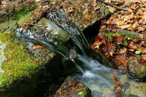 Из родников вода течет в ручьи