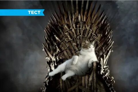 Котенок на троне в аду