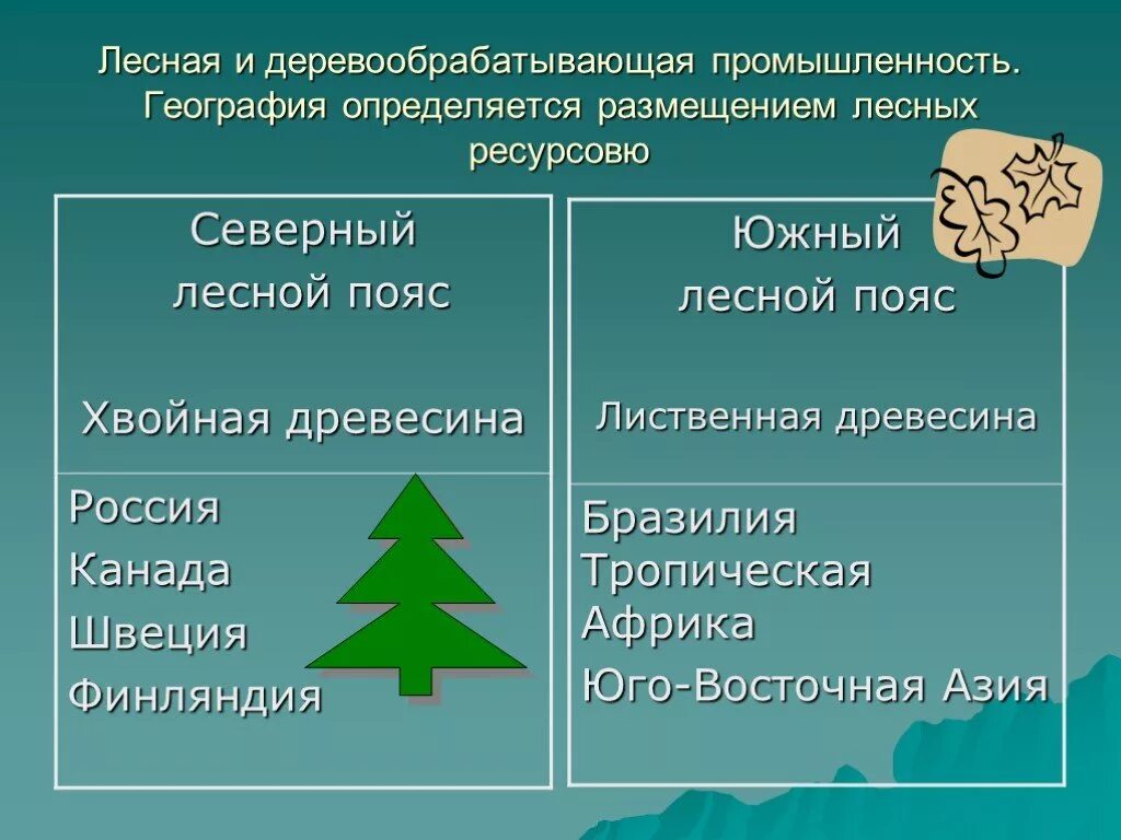 Лесная и деревообрабатывающая промышленность география. Отрасли Лесной и деревообрабатывающей промышленности. География отрасли Лесной промышленности. Лесная промышленность Лидеры.