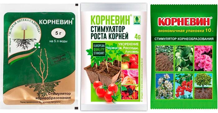 Корневин добрая сила 10г. Корневин стимулятор роста для рассады. Корневин для черенков комнатных цветов. Корневин агроуспех. Корневин 5гр лама торф.