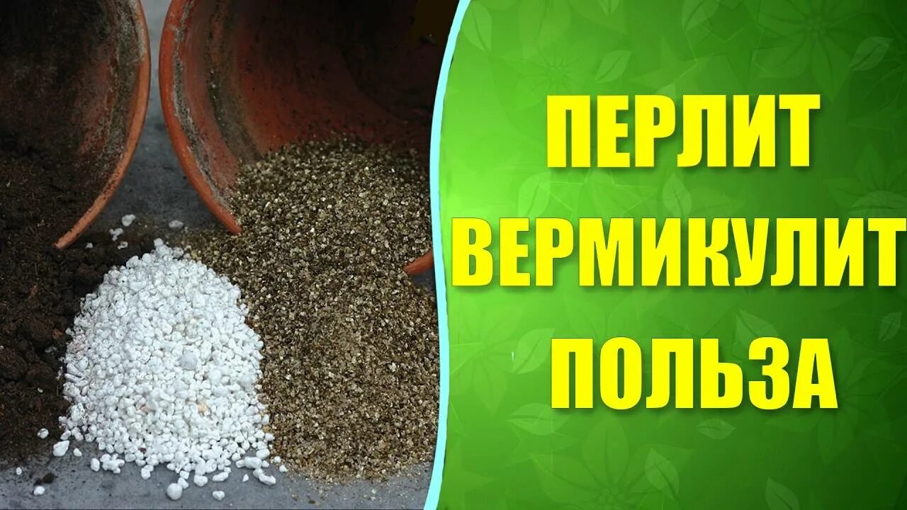 Для разрыхления почвы вермикулит. Агроперлит и вермикулит. Агроперлит или вермикулит. Перлит и вермикулит для растений.