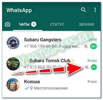 Трафик звонок ватсап