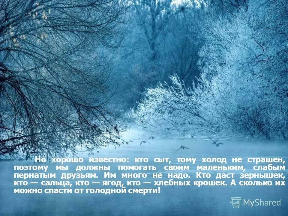 Зимой страдаю. Кто сыт тому холод не страшен. Кто сыт тому холод не страшен в Бианки. Сильно страдает птица зимой от холода и голода. Хорошо известно. Зимние страдания слова.