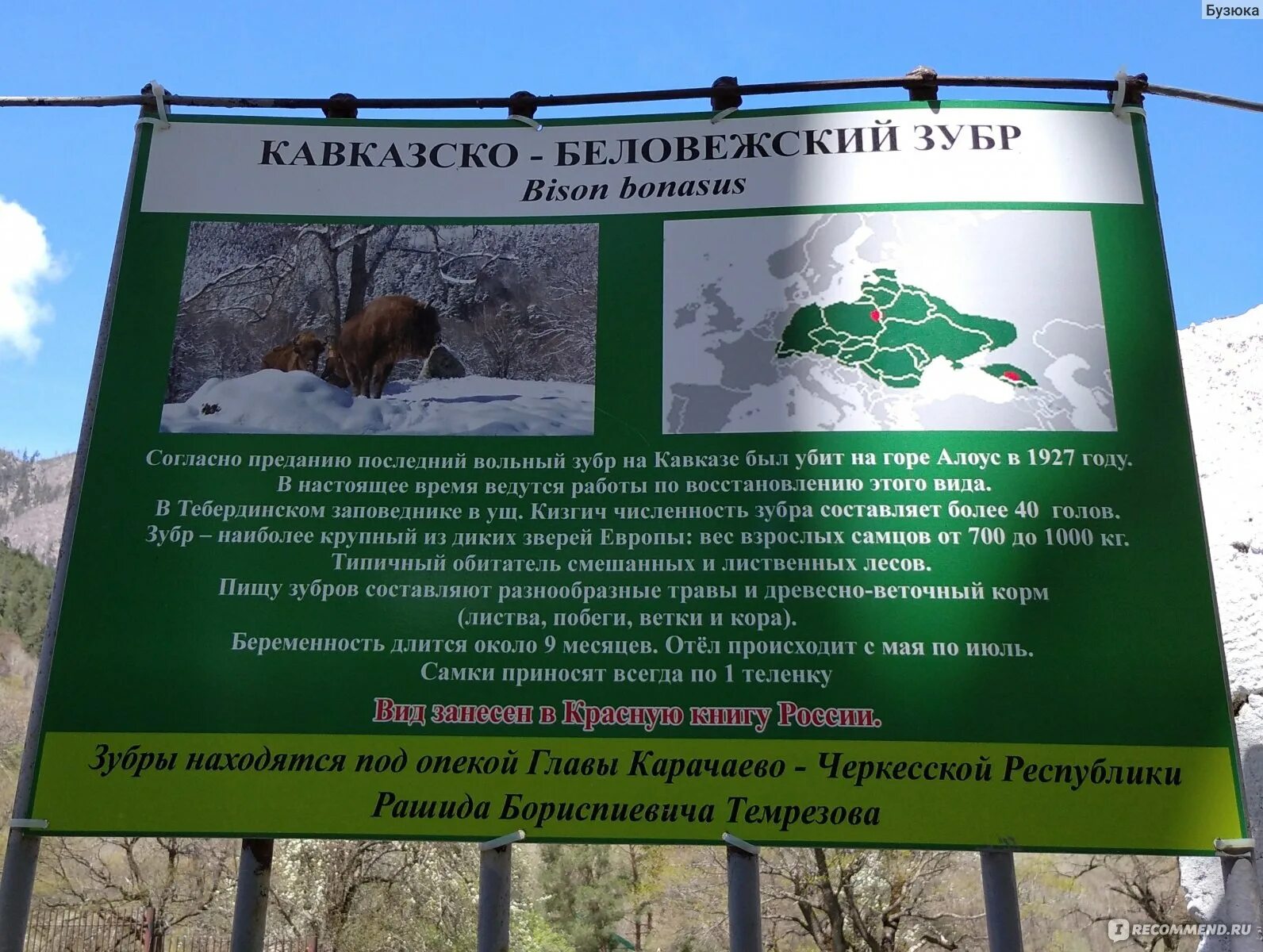 Теберда тебердинский заповедник. Заповедник режим работы. Тебердинский заповедник зоопарк. Царицыно время работы музея. Экологический центр кузнецкий алатау междуреченск.