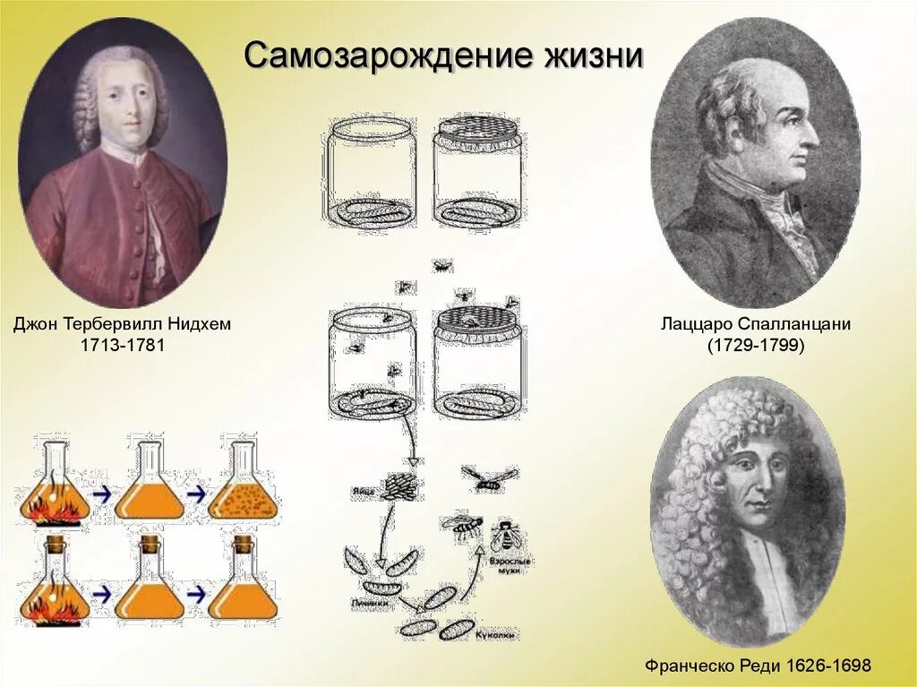 Эксперимент самозарождения жизни. Самозарождение Франческо реди. Опыты Франческо реди и Пастера. Теория самозарождения реди. Гипотеза самозарождения Франческо реди.