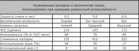 Сколько бегать чтобы сжечь жир