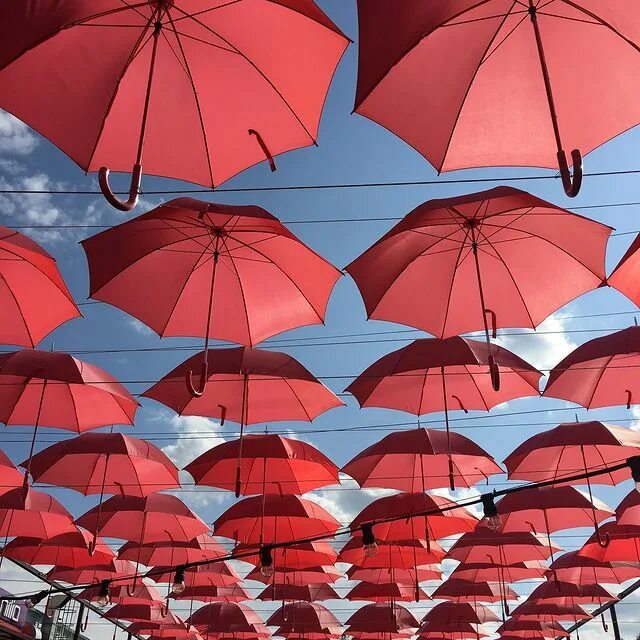 Важней всего погода дома. А все что кроме легко уладить с помощью зонта. Уладить с помощью зонта. Разноцветные зонтики. Уладить с помощью зонта.