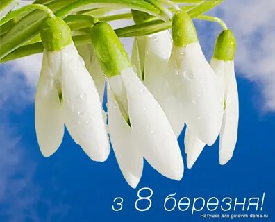 Березня с украинского