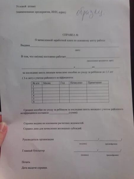 Образец справки на пособие на ребенка. Справка о доходах за 6 месяцев для детского пособия. Форма справки о доходах за 3 месяца для детского пособия. Справка о доходах для пособия на ребенка. Заявление для справки о доходах за 3 месяца для детского пособия.