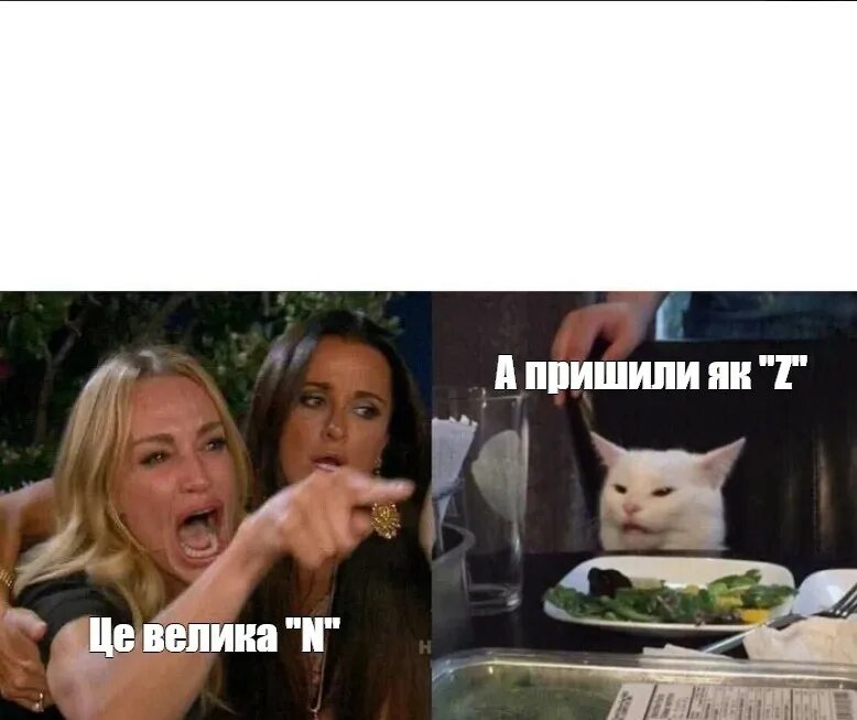 Мем с женщиной и котом. Мемы с котом за столом. Мем с женщиной и котом шаблон.