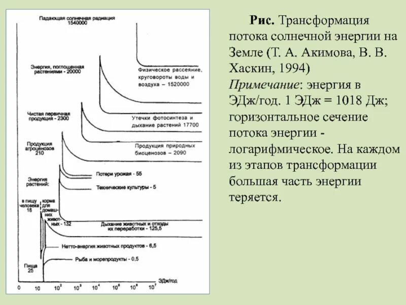 Энергии Первоистока. Преобразования риса. Солнечный поток МАФ. Ответственность энергия Первоистока.