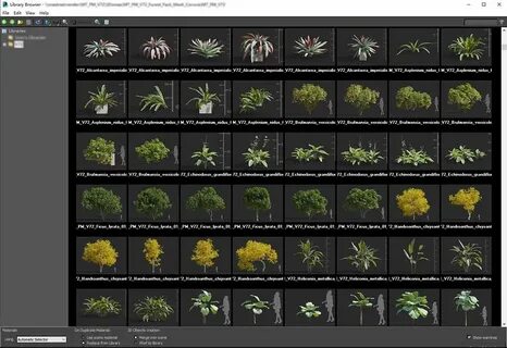 Maxtree plant models