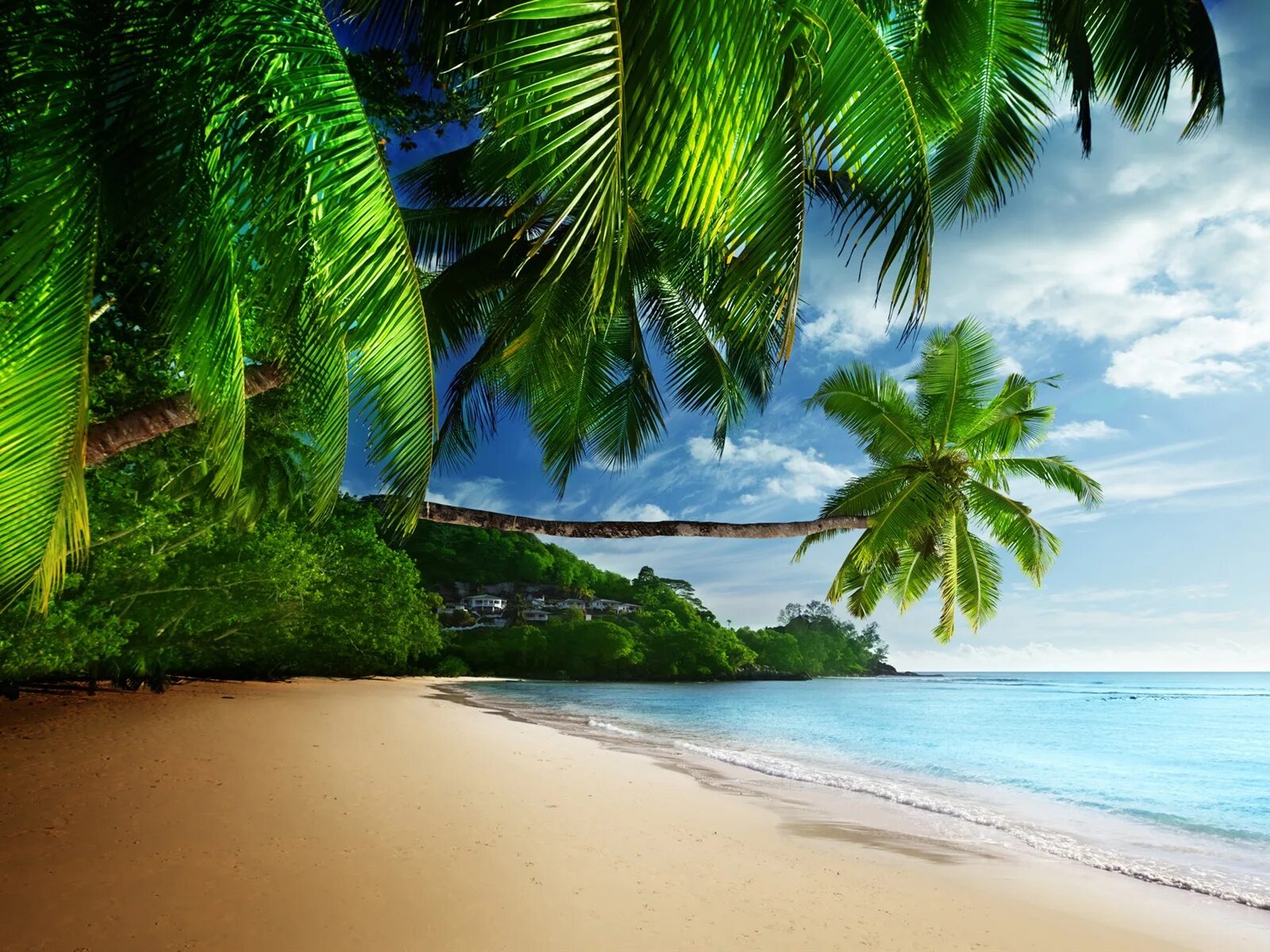 Пальмы и океан. Тропический пляж. Тропический остров. Природа море.