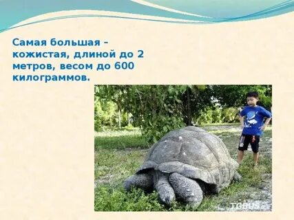 600 кг в м3