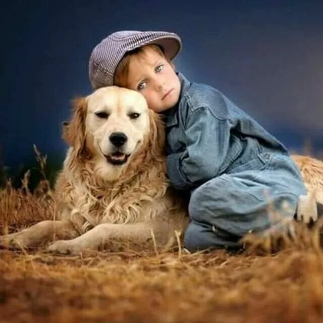 Сострадание ценность. Собака для детей. Доброта картинки. Самая теплая одежда это доброта. Доброта и любовь.
