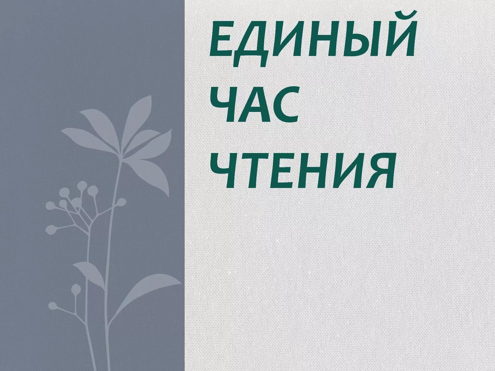 Час чтения в школе. Час чтения. Час чтения цель. Герасимовские чтения картинка.