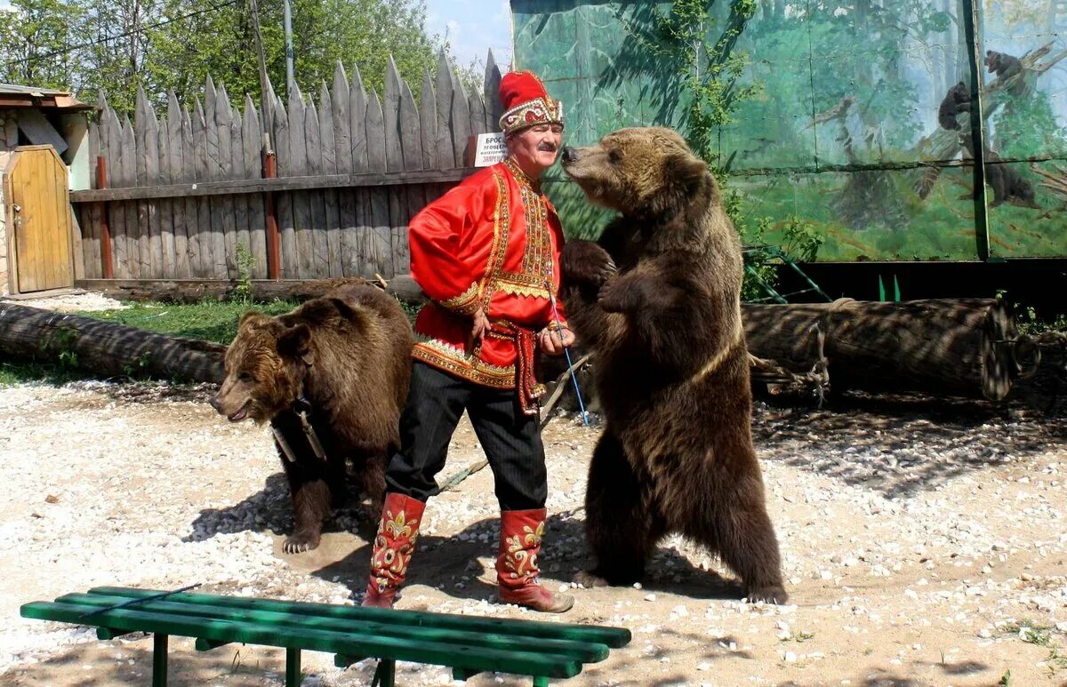 Медведь охотится. Охотник в лесу. Промысел медведя. Картина перова охота на медведя зимой. Медведь в тайге.