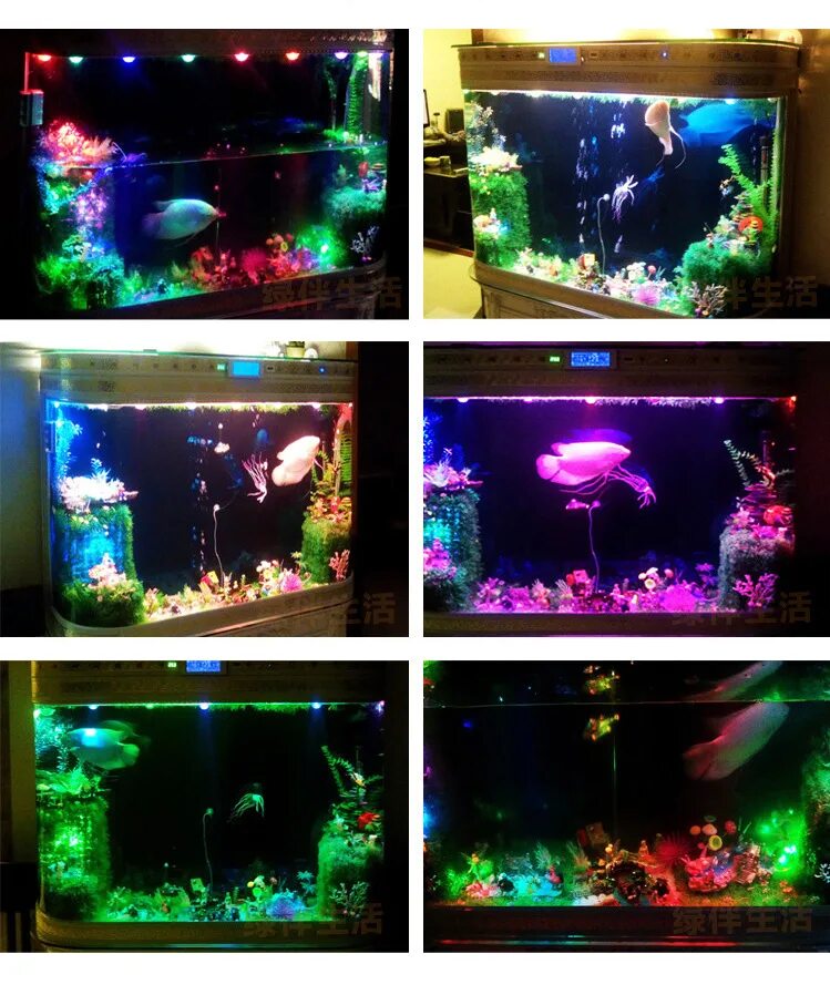 Нужен рыбкам свет ночью. Аквариум с неоновой подсветкой. Аквариум с ультрафиолетовой подсветкой. Неоновая подсветка для аквариума. УФ подсветка для аквариума.