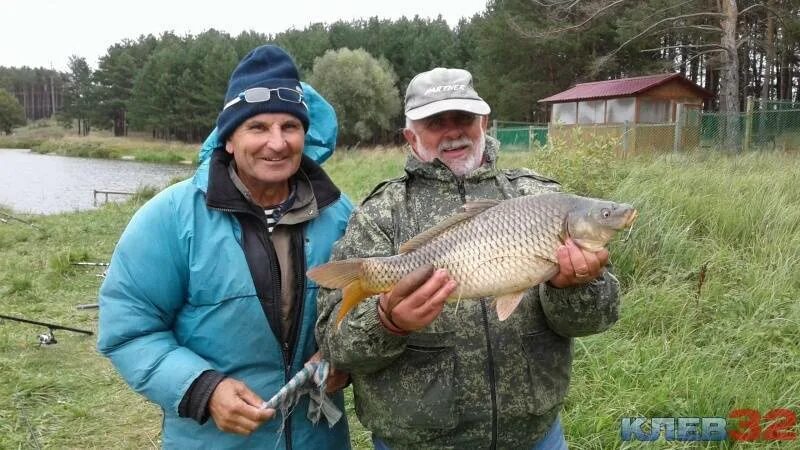 Ловля в брянской области. Платная рыбалка в Дарковичах. Рыбалка на озере Дарковичи Брянск. Платное озеро в новых Дарковичах. Клёв 32 Брянская область.