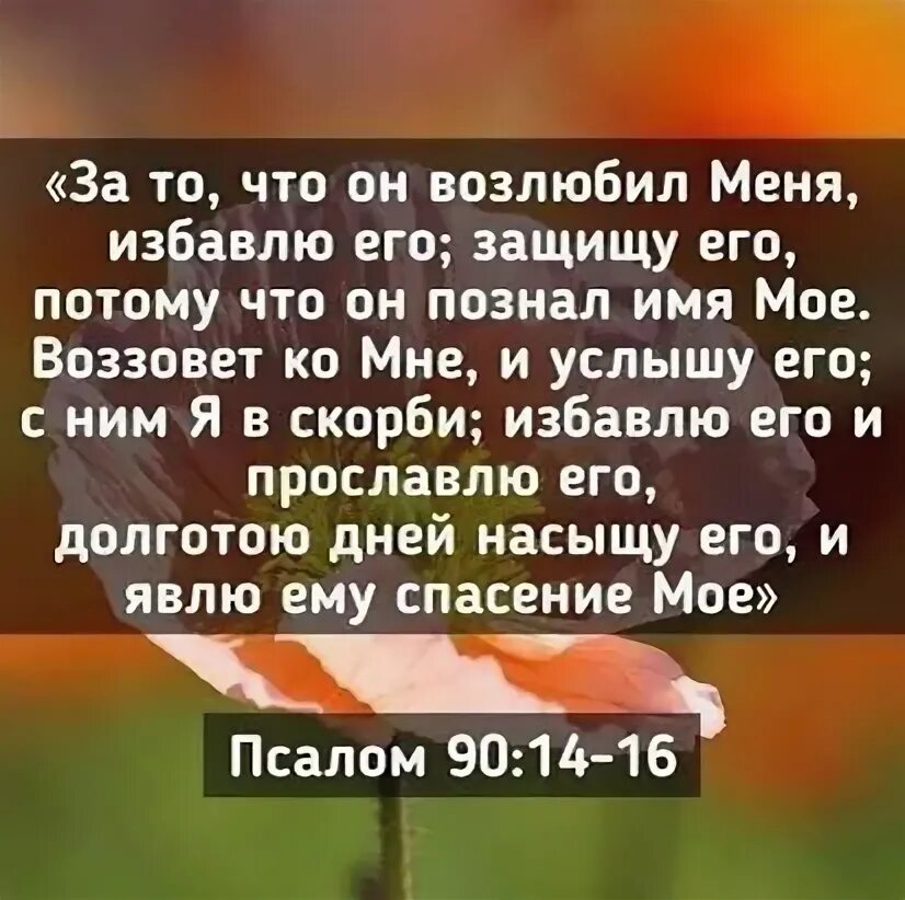 Возлюби господа бога твоего всем сердцем и всею душою. Люби господа бога твоего. Возлюби господа всем сердцем твоим. Возлюби господа своего всем сердцем. Возлюби бога заповедь.