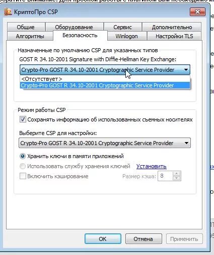 КРИПТОПРО плагин. Криптопровайдер КРИПТОПРО. Настройка КРИПТОПРО. КРИПТОПРО ЭЦП плагин Chrome. Включить плагин криптопро