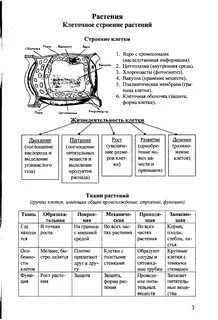 Схемы егэ