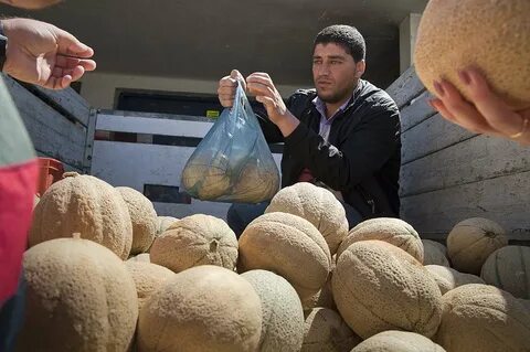 Продавец дынь