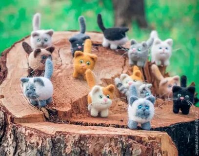 Кошачьи мастер классы