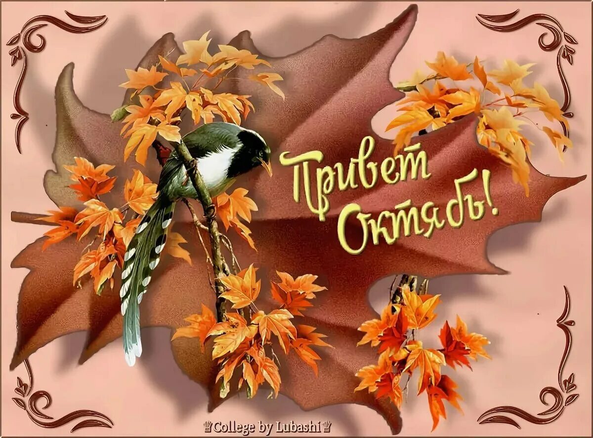 Последнего дня октября. Красивые осенние открытки. здравствуй осень октябрь. с первым днем октября. с 1 октября осень.
