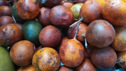 Passion fruit записи приватов