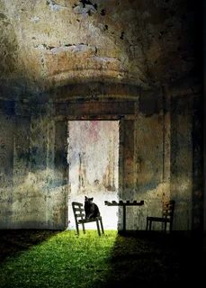 Into the door