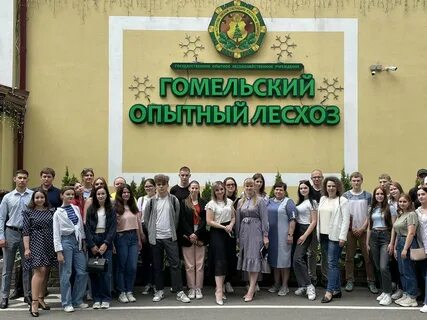 Гомельское лесничество